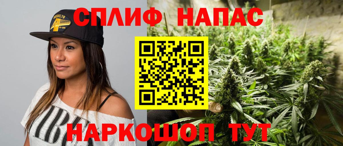 Бошки Шишки семена Дедовск